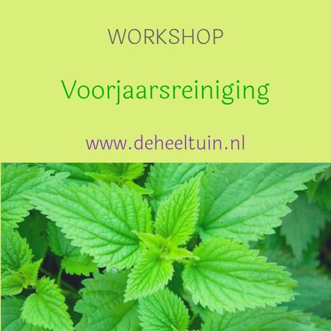 Voorjaarsreiniging / detox