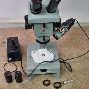 Cursus werken met de microscoop voor natuurliefhebbers