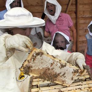 Maak kennis met de honingbij en bijproducten