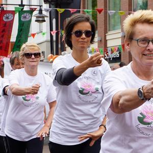 Nieuwe beginnerscursus taoist tai chi rotterdam- schiebroek