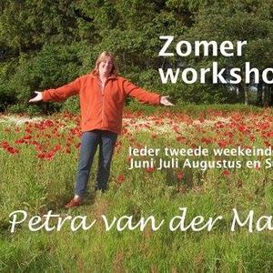 Tweedaagse zomerworkshops