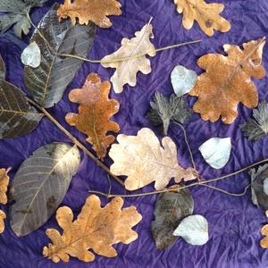 Dancing leaves |  twee zijden sjaals plantaardig verven en ecoprinten
