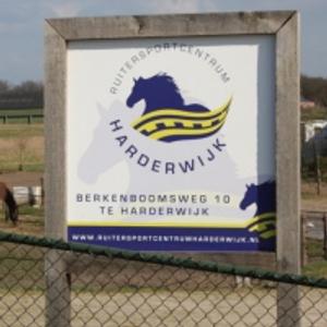 Spoedcursus paardrijden