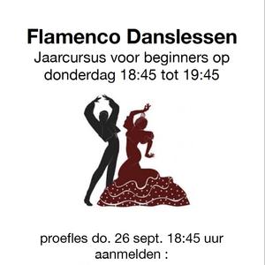 Flamenco dans voor beginners