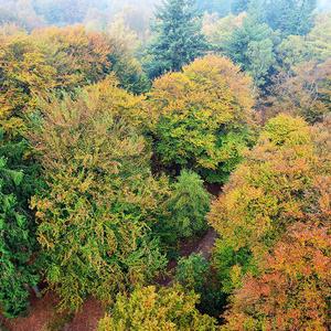 Workshop natuurfotografie kaapse bossen