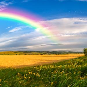 Open dag spirituele opleidingen en trainingen