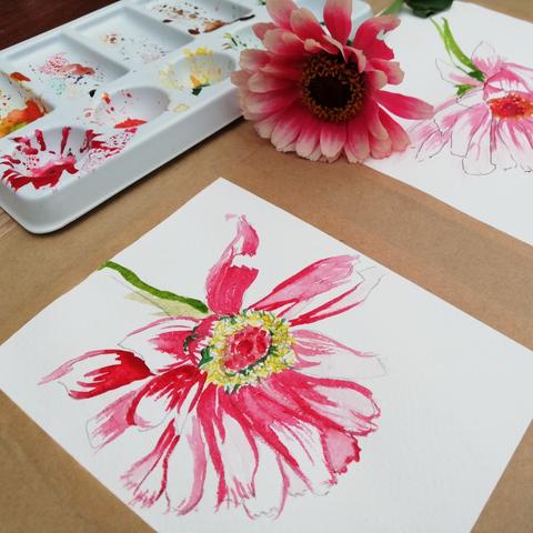 Botanisch tekenen (5 lessen)