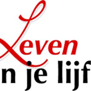 Cursus lichaamswerk leven in je lijf