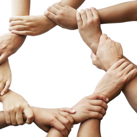Familieopstellingen plus +