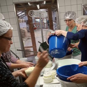 Workshop kaas maken op de boerderij of op je eigen locatie