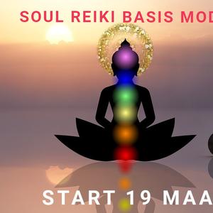 Soul reiki basis module online
