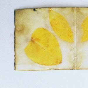 Ecoprint op papier