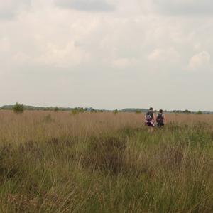 Wandelweekend met workshops