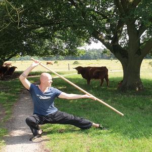 Zomercursus tai chi chuan stok