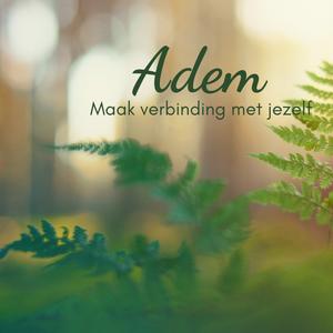 Adem en maak verbinding met jezelf