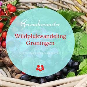 Wildplukwandeling