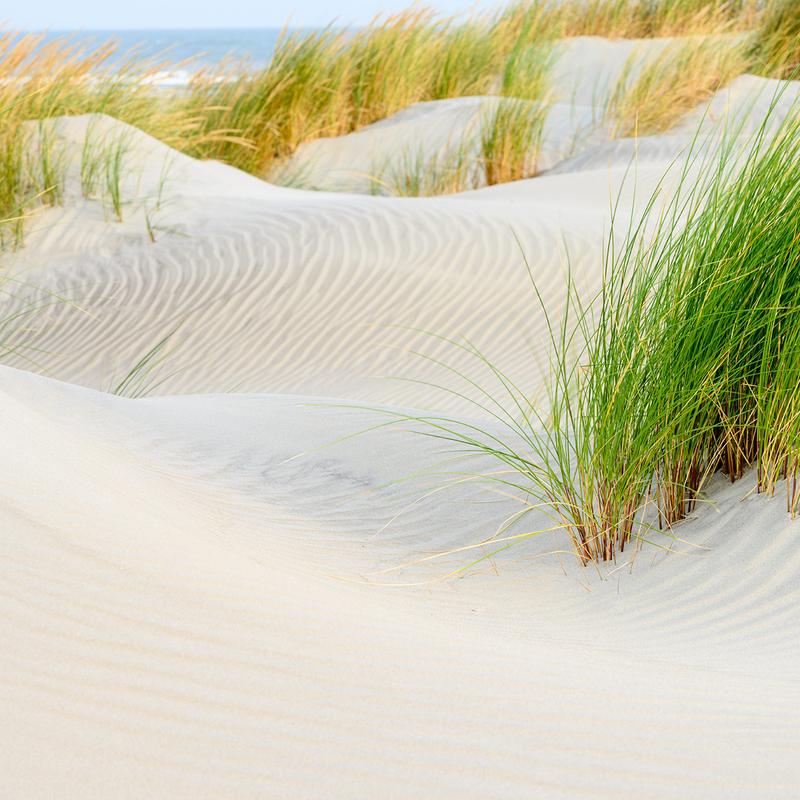 Workshop weekend ameland — foto 2