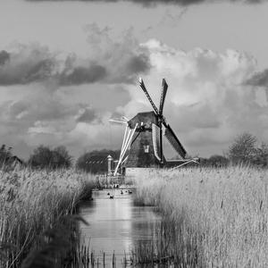 Fotocursus gevorderden assen