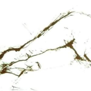 Dagworkshop model schilderen 10 juni 2023 van 10.00 tot 16.00 uur