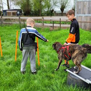 Kinderworkshop: spelen met je hond